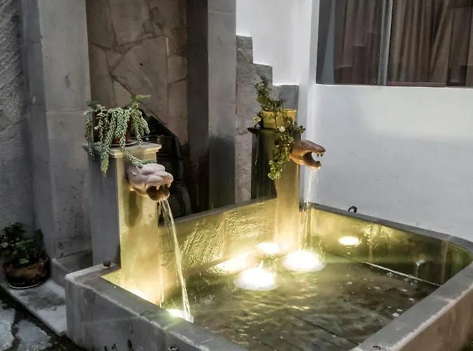 Pisonay Pisac